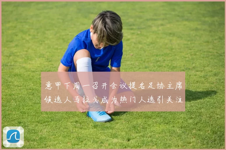 意甲下周一召开会议提名足协主席候选人马拉戈成为热门人选引关注